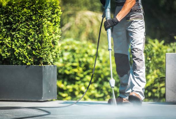 Best Spring Cleaning  in Lake Shastina, CA